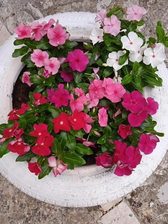 Holiday home Nni Turiddu Villa Cammarata